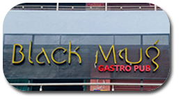 Logo1